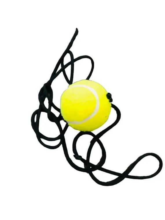 Yellow Tennis Ball for Kids Sports Training Pakistan