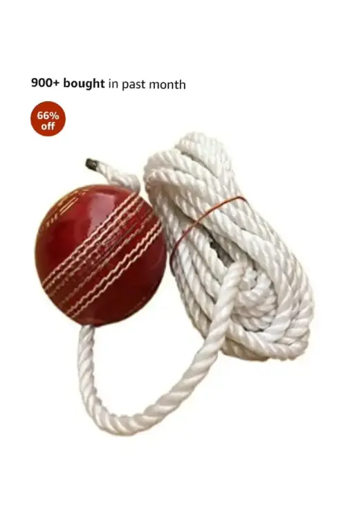 Lightweight Cricket Hanging Hard Balls