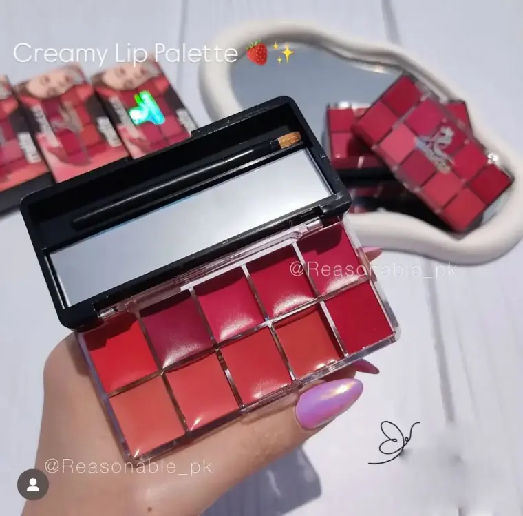 10 In 1 Lipstick/ Blush Palette 1 Pc